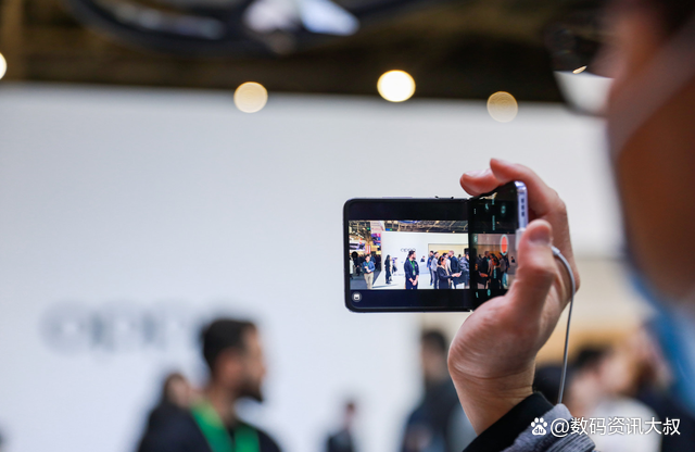 开云体育app-排球赔率刷新纪录，竞猜热度飙升