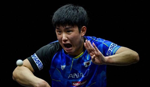 开云体育平台APP-奥地利队逆转英格兰队，张本智和状态火热