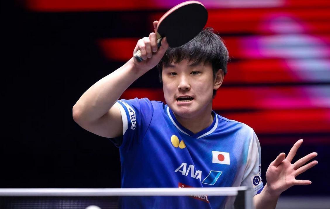 奥地利队逆转英格兰队,张本智和状态火热 奥地利队逆转英格兰队,张本智和状态火热