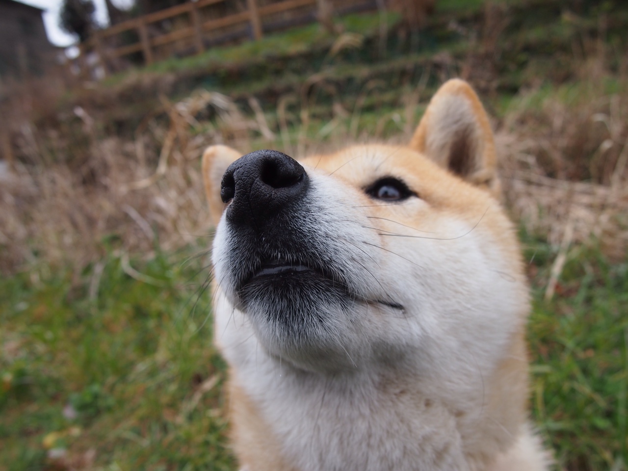 开云体育APP下载-超越胜负，姆巴佩的担当与乌克兰的宣言