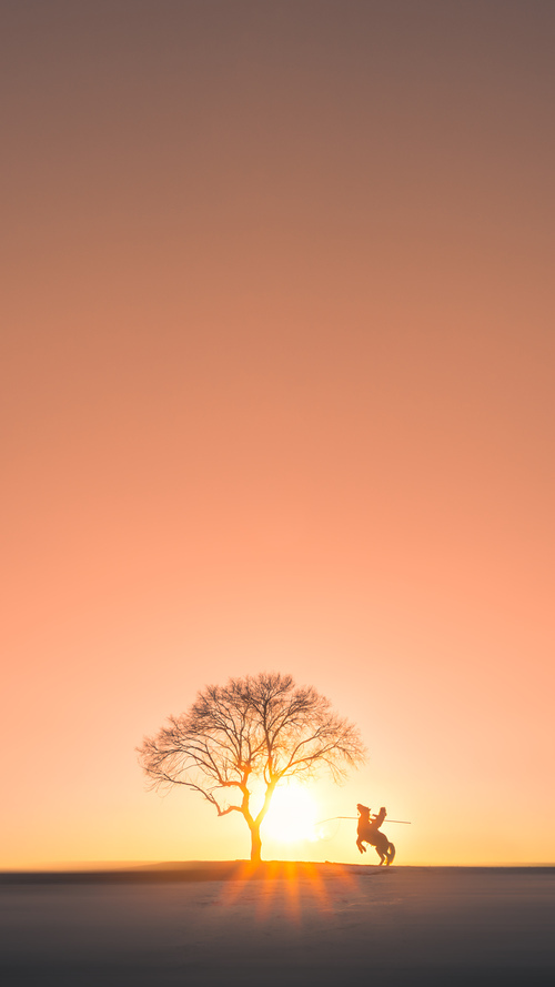 希腊怪兽的东方征途,当字母哥的个人节奏,吞噬了广东的集体洪流