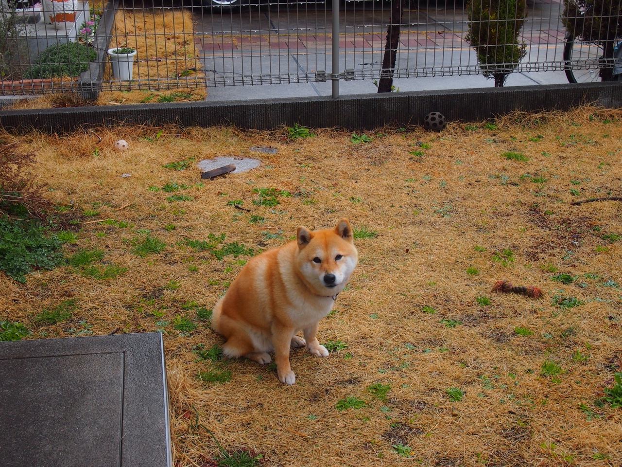 萨拉赫闪耀英伦,美国新军破局,足球世界的两极爆发