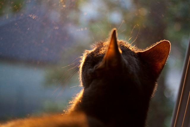 生死逆转的绿茵童话，爱尔兰小镇球队与拉什福德的不灭传说