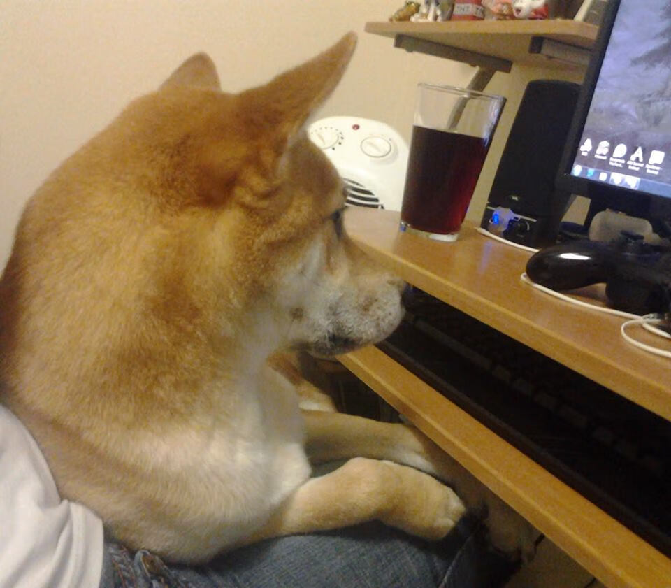 西甲国家德比之夜,当全世界的目光,只为贝林厄姆而亮