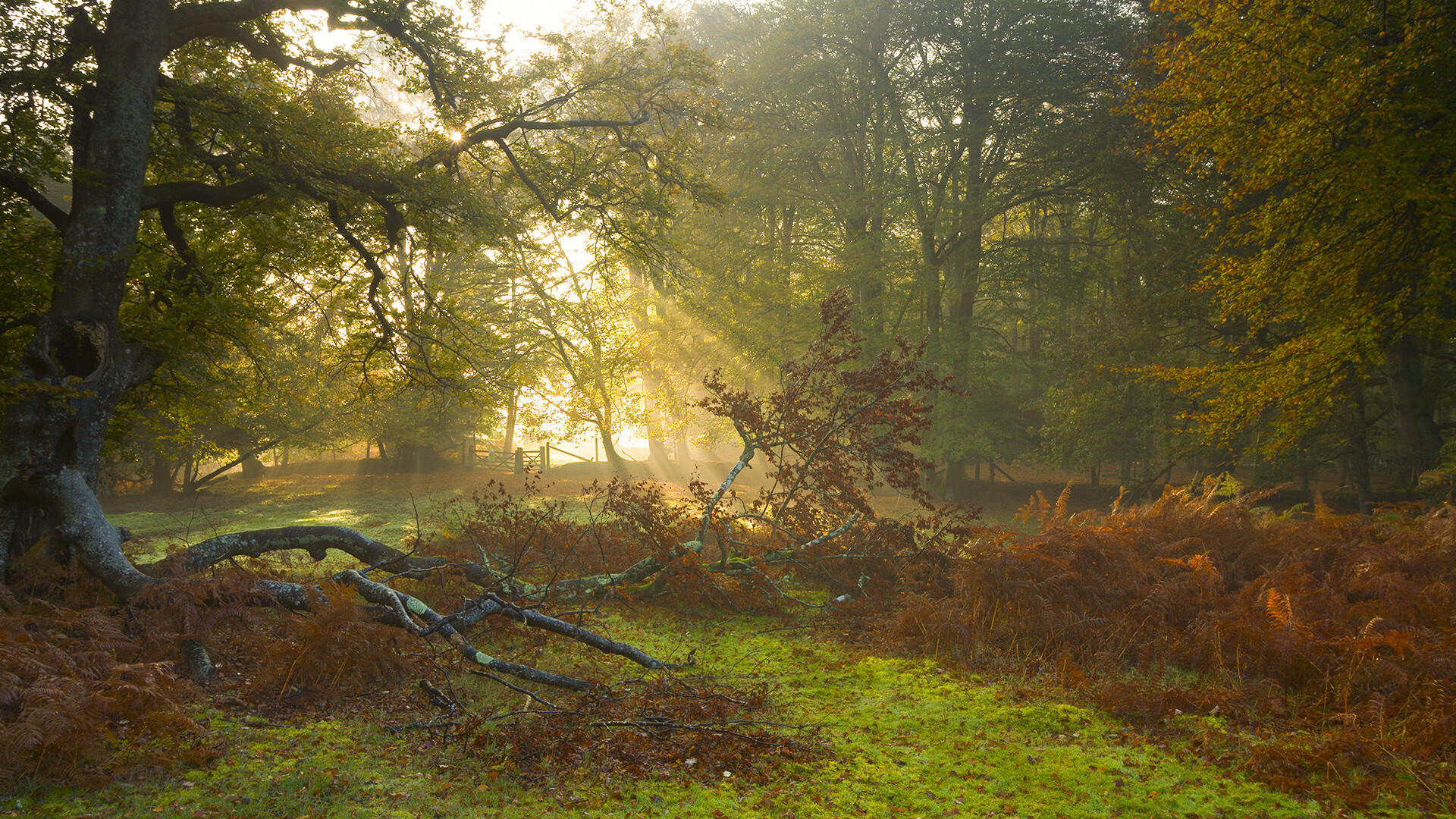 时代的沙漏，一个夜晚，两种王者—孙兴慜的孤星闪耀与西班牙的银河奔流