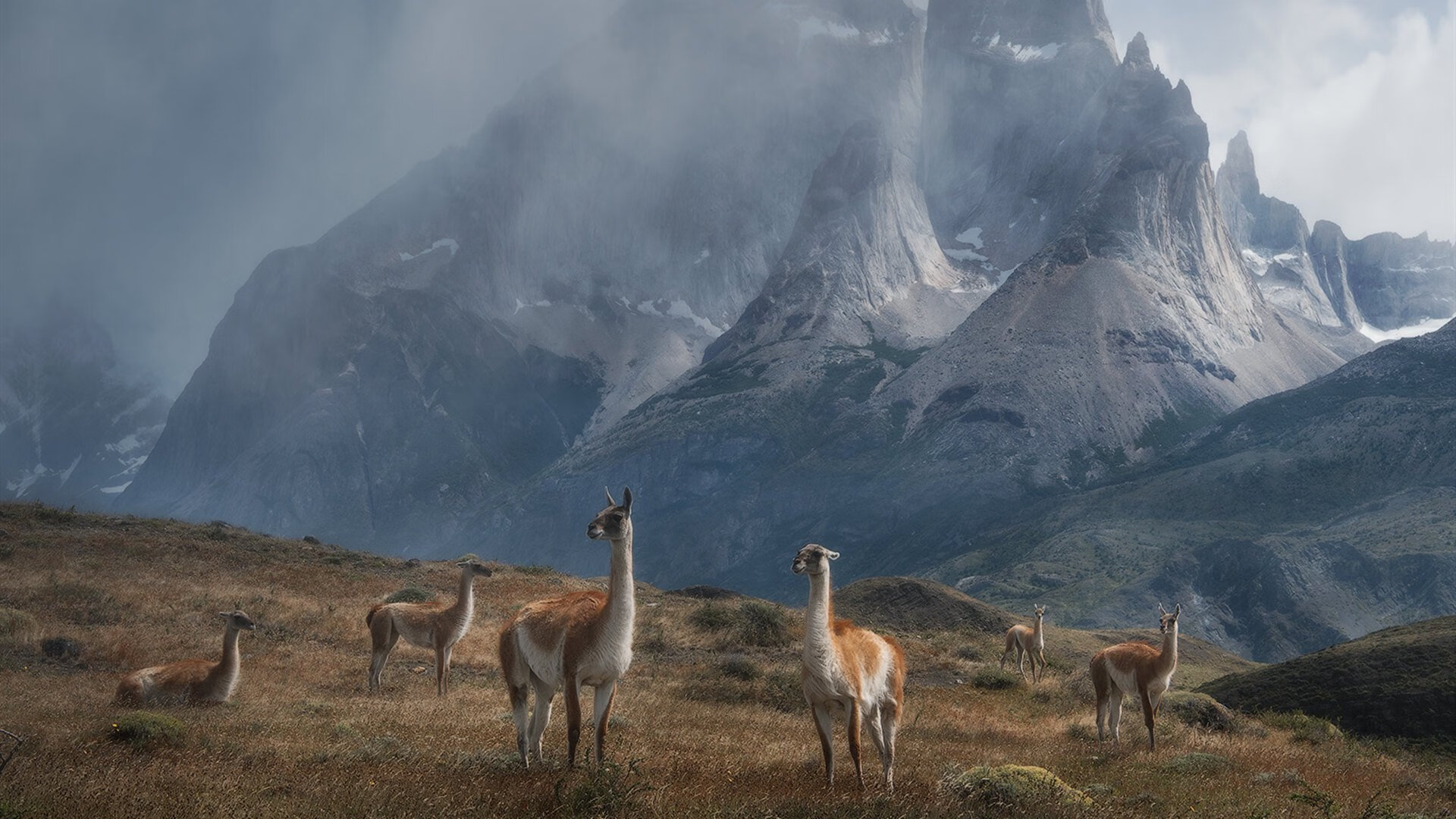 开云体育中国-球场的同一种语言