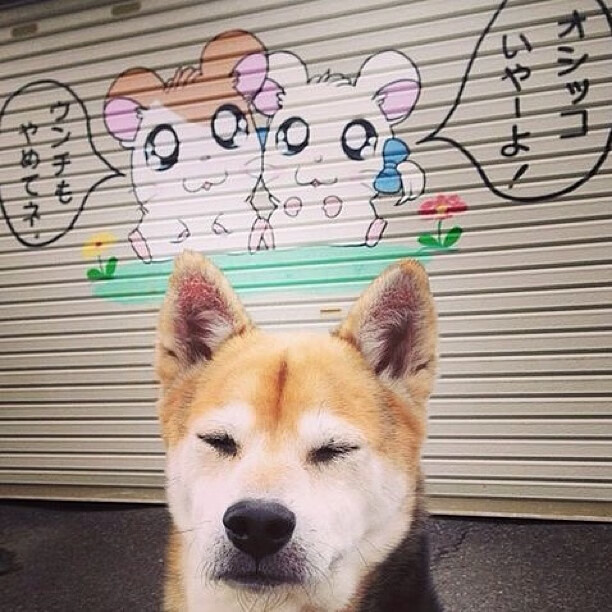 从华沙到蒙扎，当钢铁防线遇见赛道诗人—姆巴佩的跨界征服