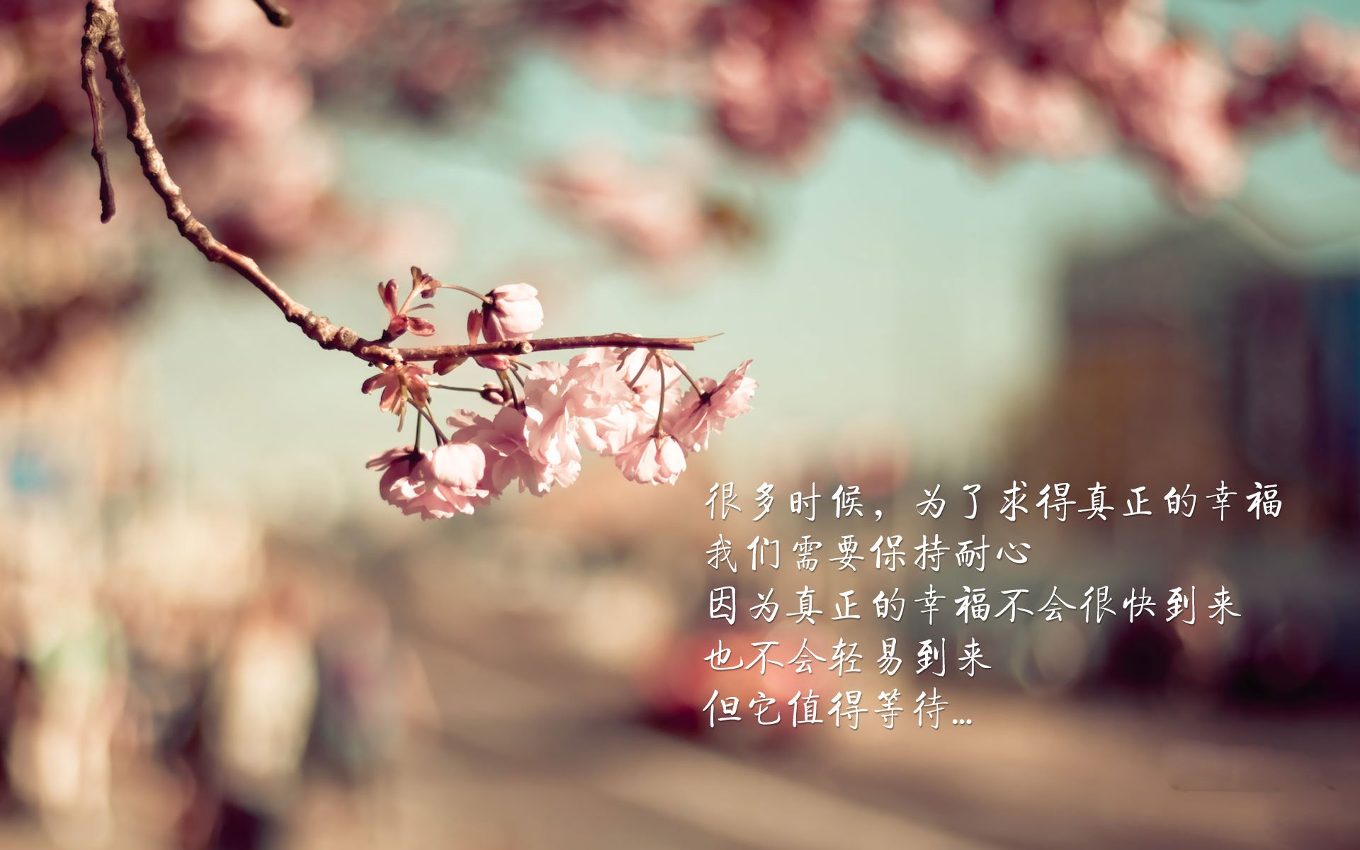 开云体育-冰与火之歌，2026世界杯F组的唯一逻辑，美国队用最不美国的方式，由加维写下绝杀注脚