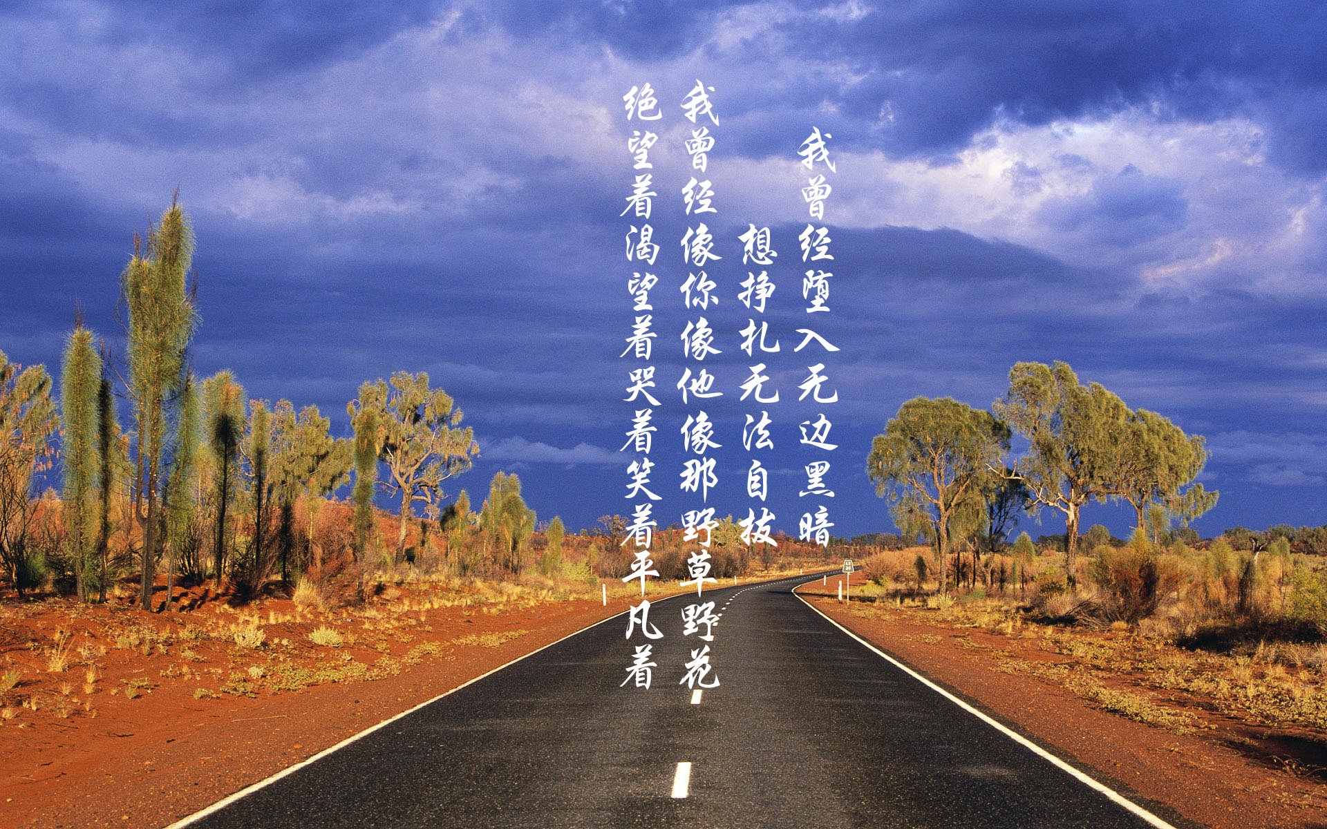 沙漠绿洲中的日耳曼沉没,巴雷拉奏响的酋长战歌,2026世界杯最强冷门是如何炼成的