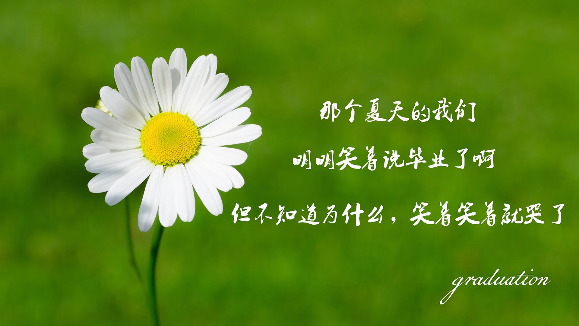 开云体育登录-北欧铁骑惊险过关，神锋苏亚雷斯宝刀不老—2026世界杯G组首轮战报